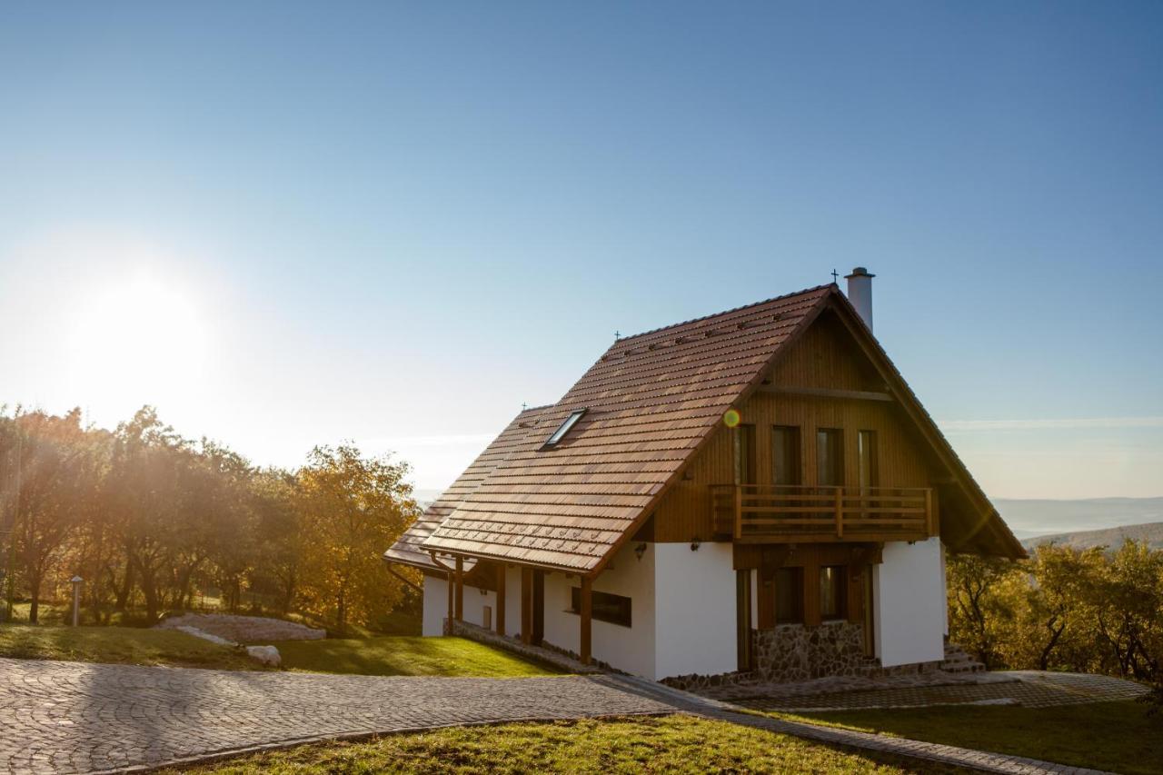 Pensiunea Szilas Panzio Păuleni エクステリア 写真